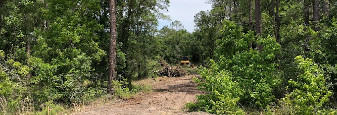 Darrell Cone Dozer Service, Inc.