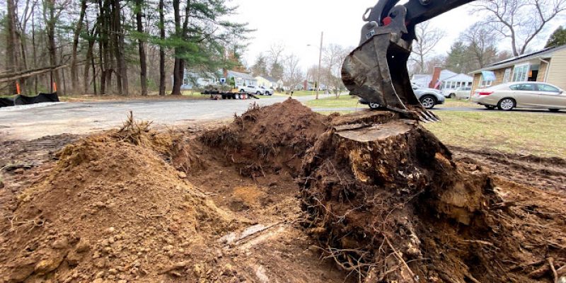 Rozell’s Landscaping & Bobcat Service