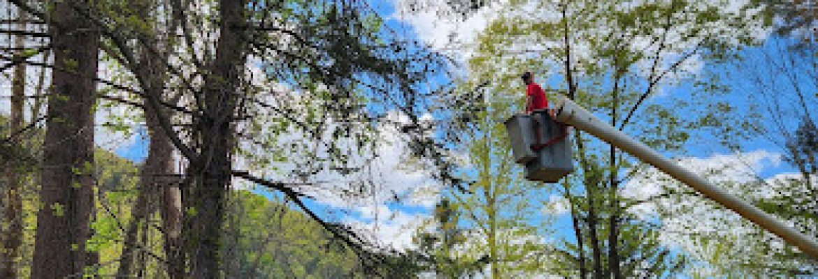 A&J Contracting