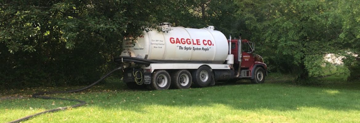 Gaggle Co Inc