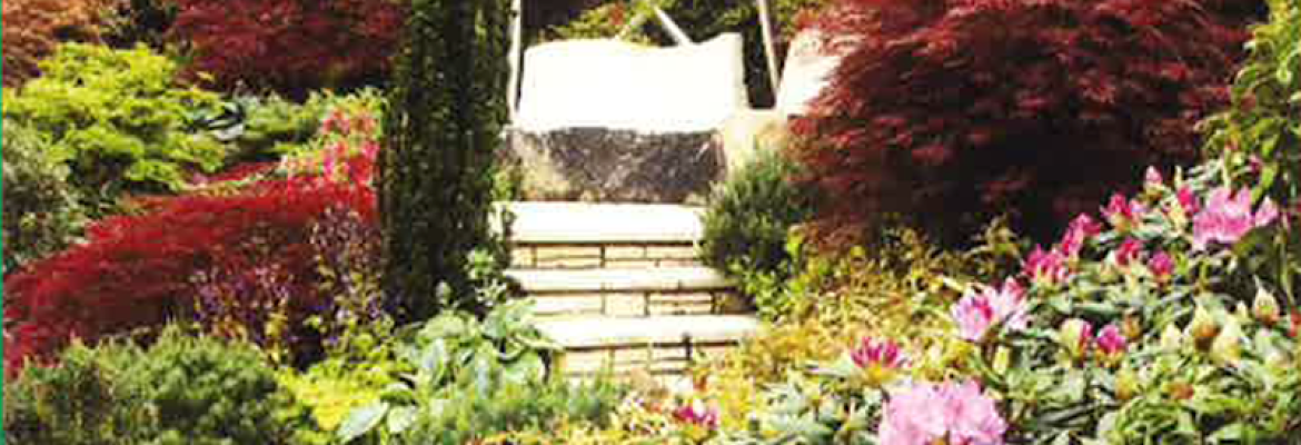 Lennox Landscape Service
