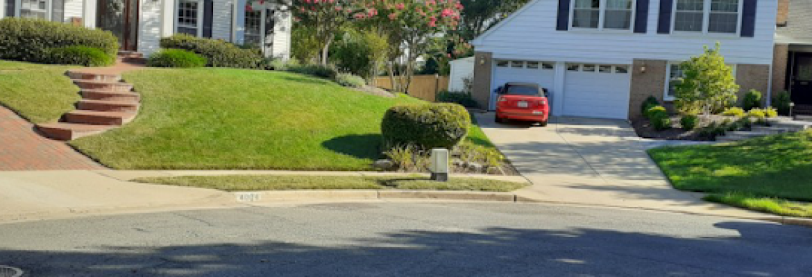 Reyes Landscaping