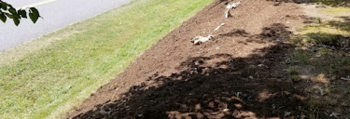 GreenWorks Lawn and Landscaping