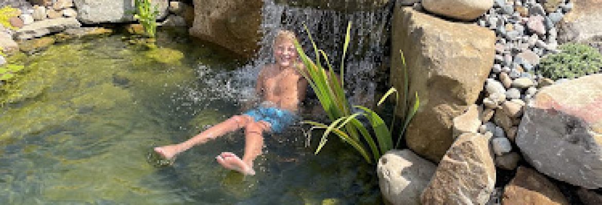 Knockout Landscaping & Excavating