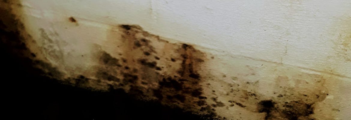 Jb Foundations