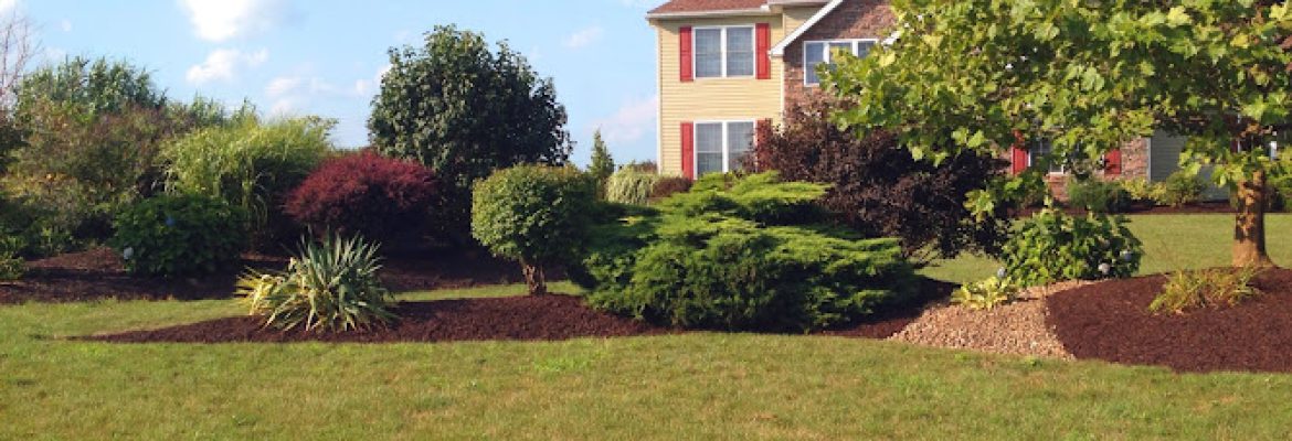Denny’s Landscaping LLC